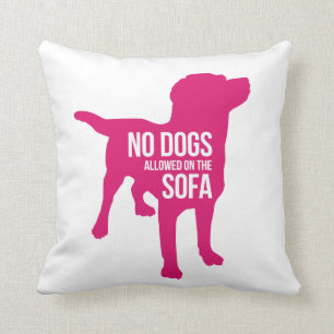 Ningunos perros en la almohada del sofá