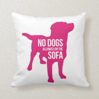 Ningunos perros en la almohada del sofá