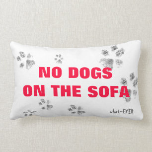 Ningunos perros en la almohada del sofá