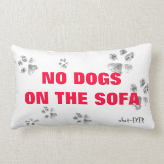Ningunos perros en la almohada del sofá