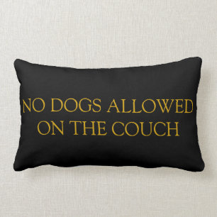 Ningunos perros permitidos en la almohada del sof