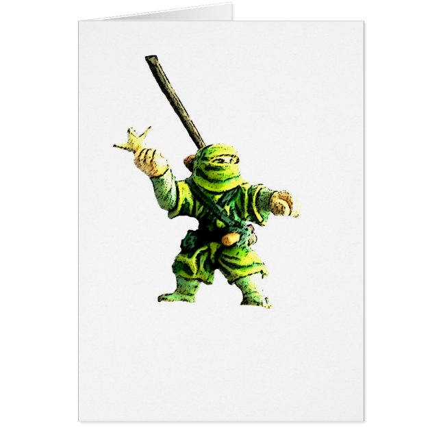 Ninja en verde (Frente)