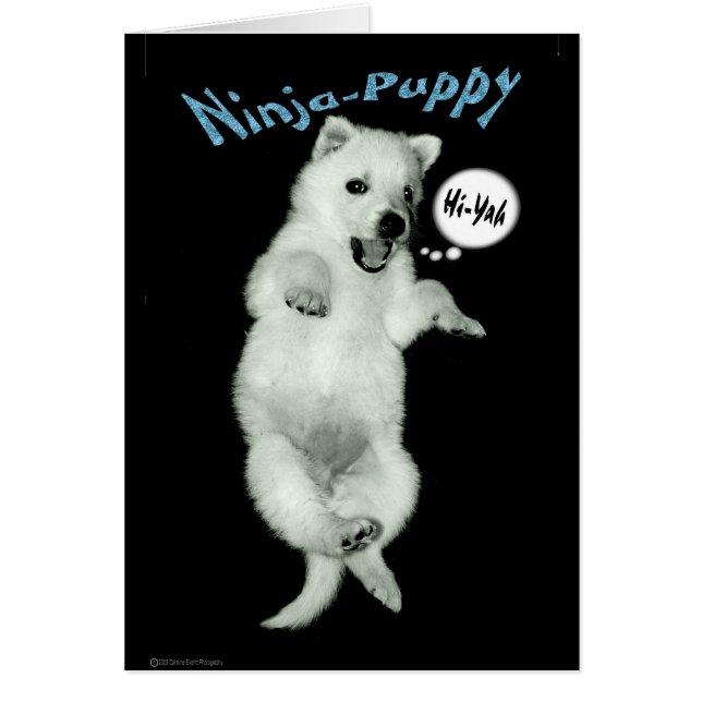 Ninja Puppy (Frente)