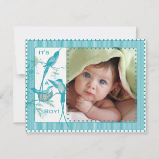 Niño Aqua Vintage Birds Invitación de imagen