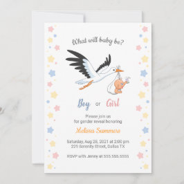 Niño Chica Stork Gender Reveal Party Invitación