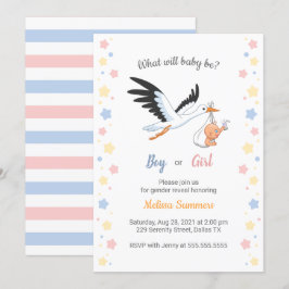Niño Chica Stork Gender Reveal Party Invitación