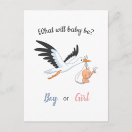 Niño Chica Stork Gender Reveal Party Invitación