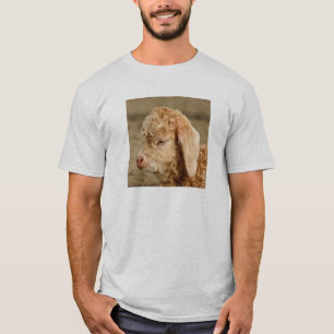 Niño de la cabra del angora - camiseta ligera