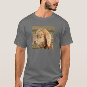 Niño de la cabra del angora - camiseta oscura