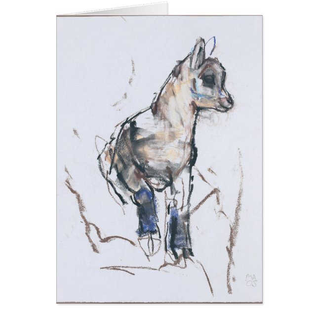 Niño del cabra montés (Frente)