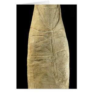 Niño en ropa swaddling