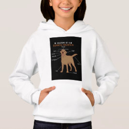 Niños Chicas BERNESE MOUNTAIN Hoodies & Sweatshirt