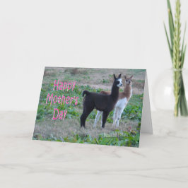 Niños de la llama de la tarjeta del Día de la Madr