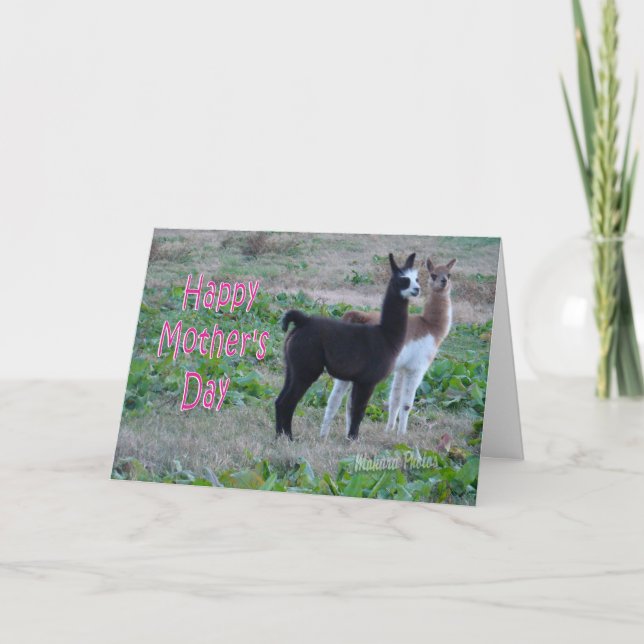 Niños de la llama de la tarjeta del Día de la Madr (Anverso)