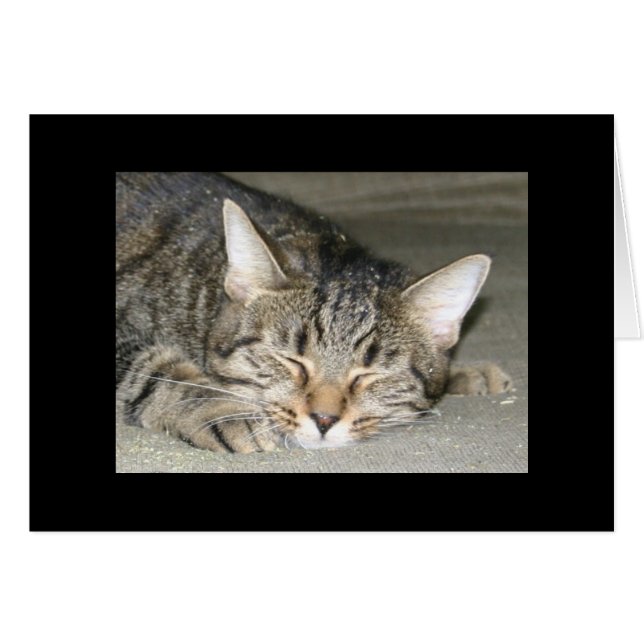 Nirvana (Anverso (Horizontal))