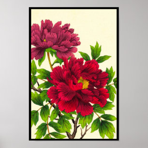 Nishimura Hodo Peonía flores japonesas arte fino