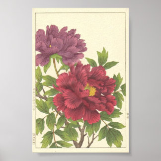 Nishimura Hodo Peonía Flores Japoneses Arte Fino