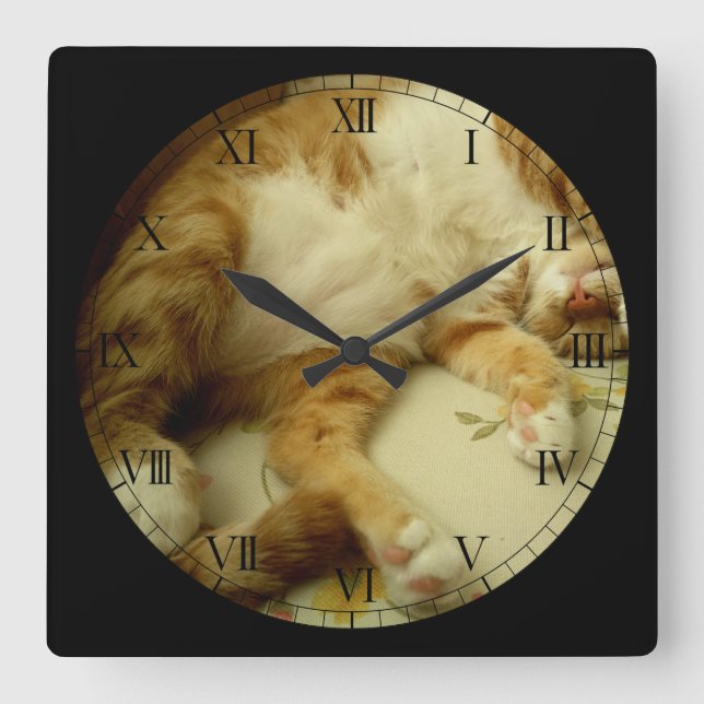 Nite Nite que soña el reloj de pared del gato (Anverso)