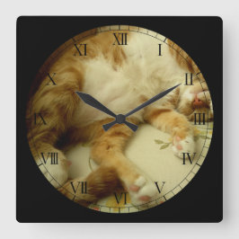 Nite Nite que soña el reloj de pared del gato