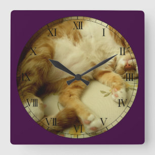 Nite Nite que soña el reloj de pared del gato