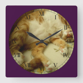 Nite Nite que soña el reloj de pared del gato