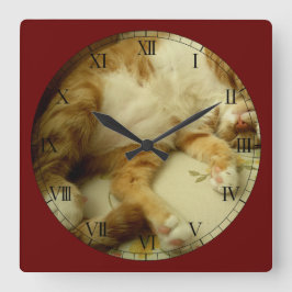 Nite Nite que soña el reloj de pared del gato