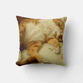 Nite Nite que soña la almohada del gato