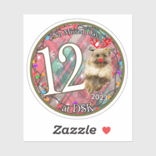 NMD en DSK - Pegatina de distinciones de diciembre