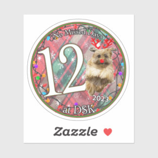 NMD en DSK - Pegatina de distinciones de diciembre