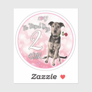 NMD en DSK - Pegatina de distinciones de febrero d