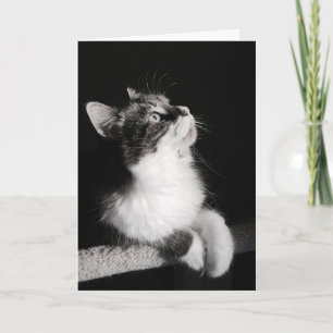 No abandone el soñar de la tarjeta