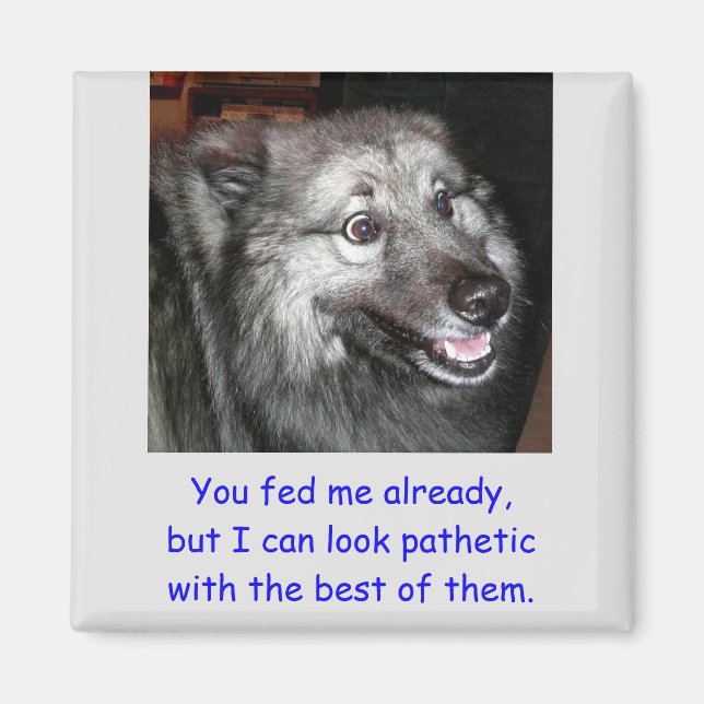 NO alimenten el imán del perro (Frente)