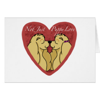 No apenas amor adolescente