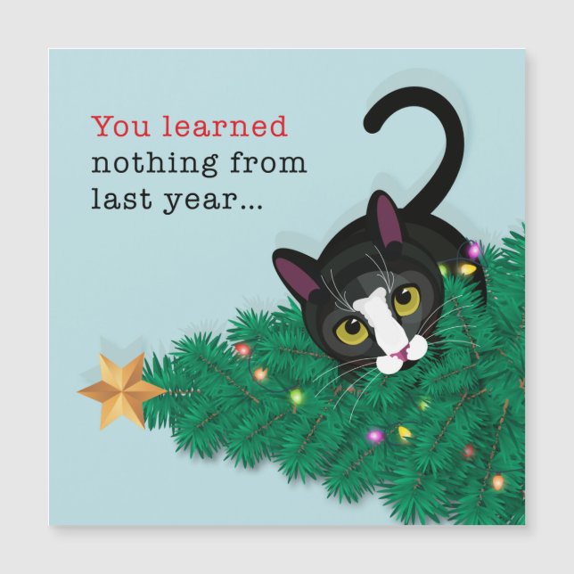 ¡¡No aprendiste nada el año pasado!! (Anverso)