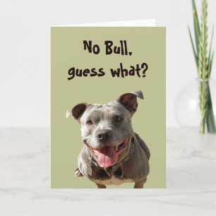 No Bull Muy Mejor Tarjeta De Amigo