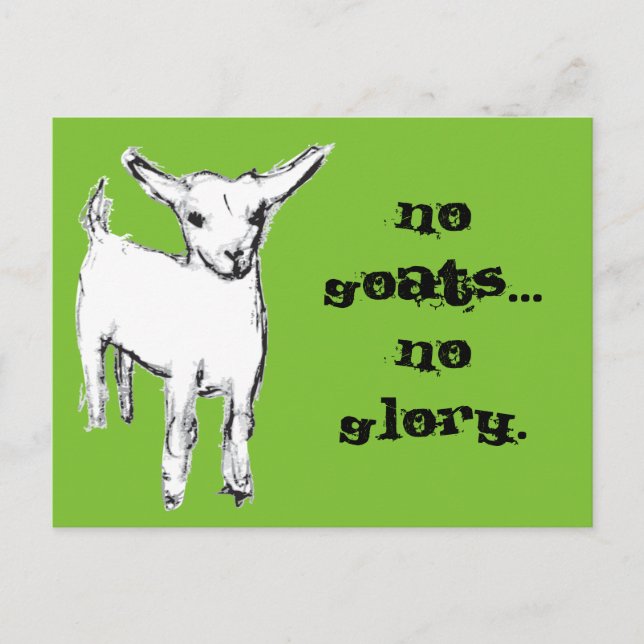 No cabras... Sin postal de gloria (Anverso)