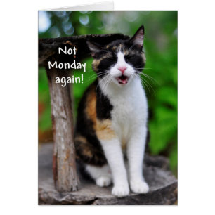 "¡No de nuevo el lunes!" Tarjeta de gato cómica de