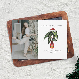 No Dejes de Creer en Casa Planta Foto Navidad