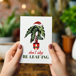 No dejes de creer en la casa de plantas de Navidad