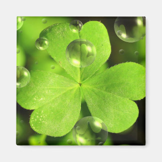 No dejes que tu suerte se lave el imán