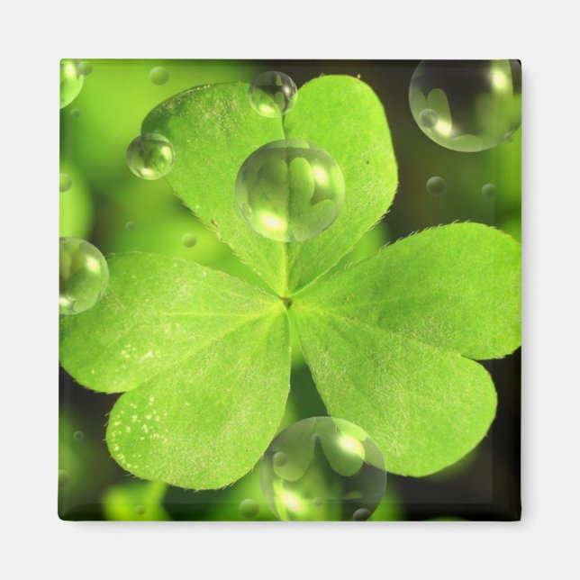 No dejes que tu suerte se lave el imán (Frente)