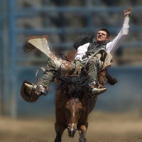 " NO DOLOR - NO GANA " ! lienzo