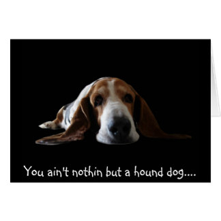 No eres nada más que un perro sabio