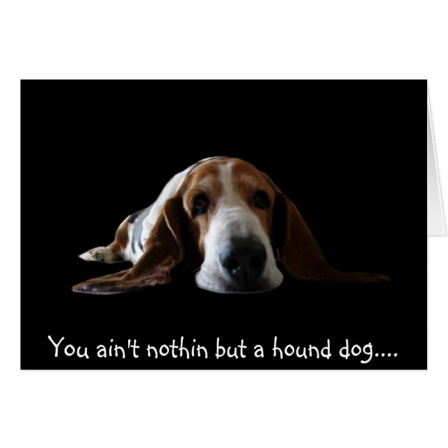 No eres nada más que un perro sabio (Anverso (Horizontal))