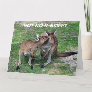 No es ahora la tarjeta de saludo en blanco Skippy
