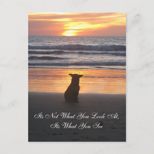 No es lo que miras. Es la tarjeta Lo que ves (Anverso)