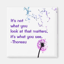 No es lo que se ve en el imán Thoreau