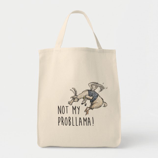 No es mi bolsa de problemas (Frente)