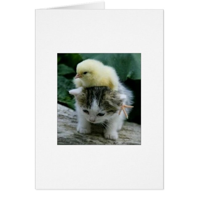 No es pesado; es mi hermano (Frente)