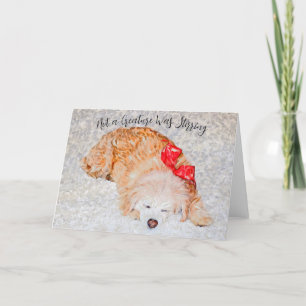 No es una criatura que atraiga la tarjeta de vacac